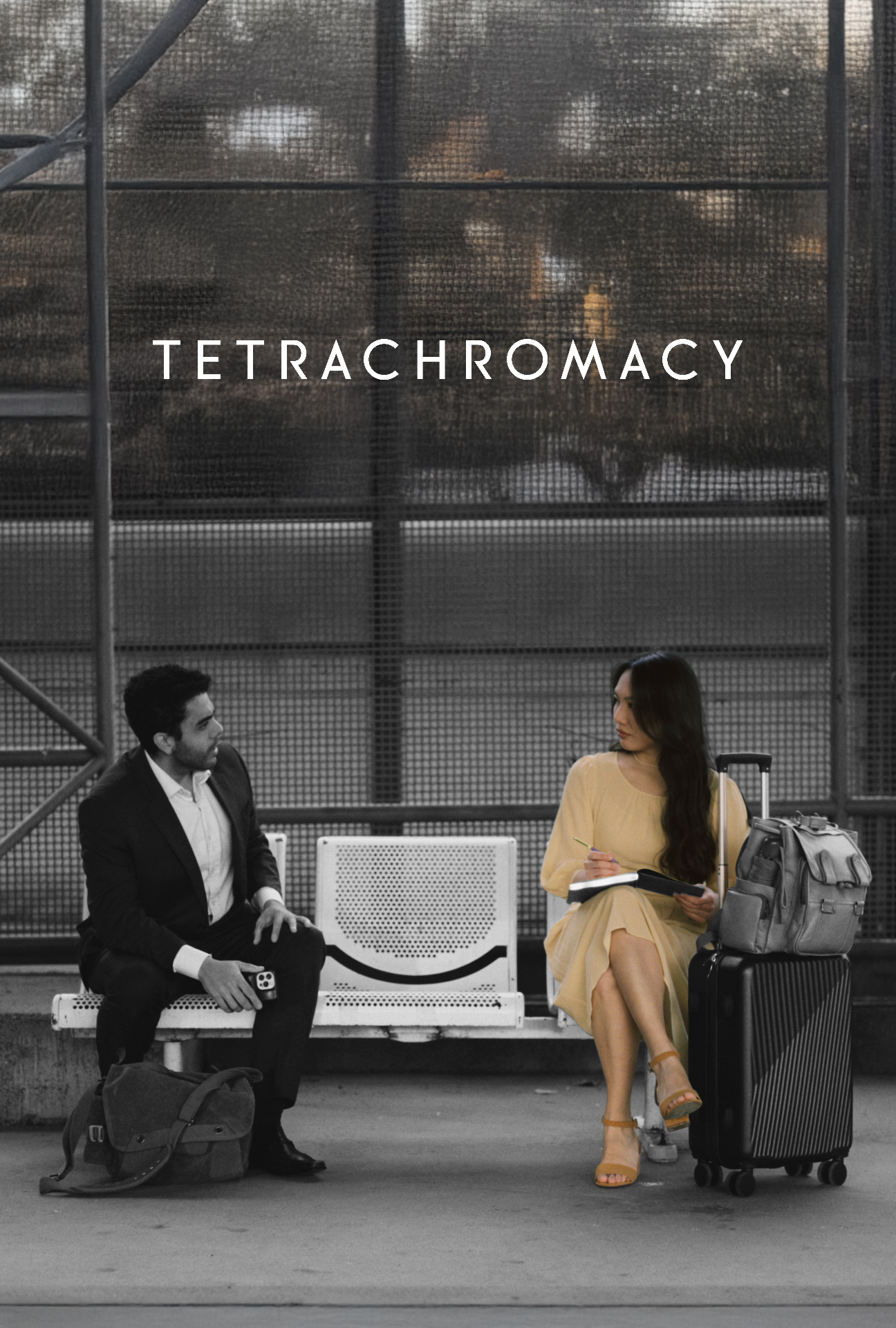 Tetrachromacy film poster